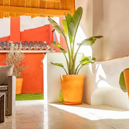 Natura 43 * Callosa de Ensarria